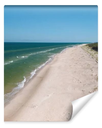 Aerial drone view of long sandy beach and green Baltic Sea coastline with pine forest  summer coastal landscape photography