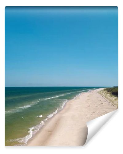 Aerial drone view of long sandy beach and green Baltic Sea coastline with pine forest  summer coastal landscape photography
