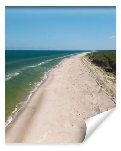 Aerial drone view of long sandy beach and green Baltic Sea coastline with pine forest  summer coastal landscape photography