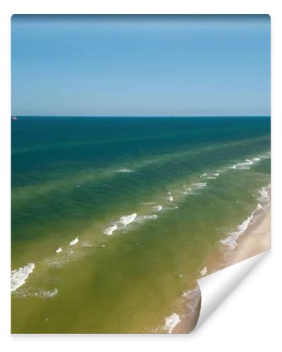 Aerial drone view of long sandy beach and green Baltic Sea coastline with pine forest  summer coastal landscape photography