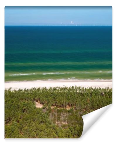 Aerial drone view of long sandy beach and green Baltic Sea coastline with pine forest  summer coastal landscape photography