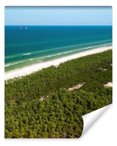 Aerial drone view of long sandy beach and green Baltic Sea coastline with pine forest  summer coastal landscape photography