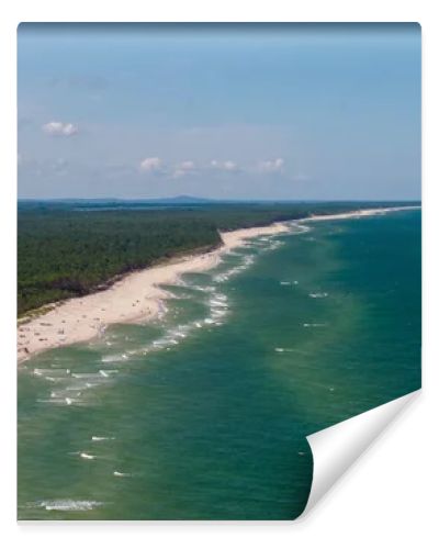 Aerial drone view of long sandy beach and green Baltic Sea coastline with pine forest  summer coastal landscape photography