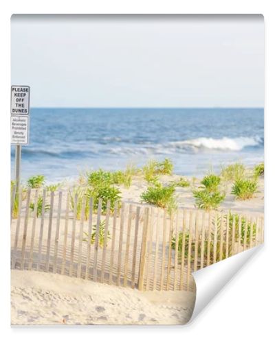 Protective fencing preserves coastal dunes, reduces erosion, and supports a fragile beach ecosystem.