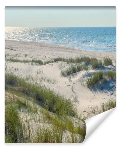 Panoramic view of sandy beach dunes with green vegetation meeting Baltic Sea horizon in Leba Poland summer landscape. High quality photograph