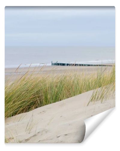 Gentle dunes line the peaceful coast of Zeeland in the Netherlands, where tall grass sways in the breeze. In the distance, wooden breakwaters stretch along the shore