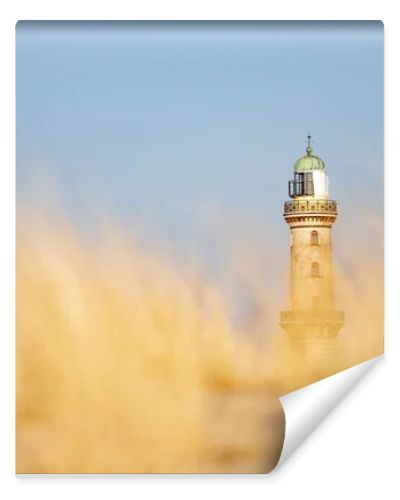 Lighthouse in Warnemuende, Germany behing the blurred marram grass, on sand dunes. High quality photo