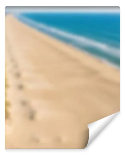 Aerial drone view of a vast, empty sandy beach with gentle ocean waves and a clear blue sky.