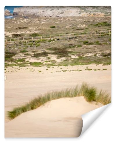 Open sandy coastal plain with low vegetation and Atlantic Ocean in the background near Guincho Cascais Portugal.