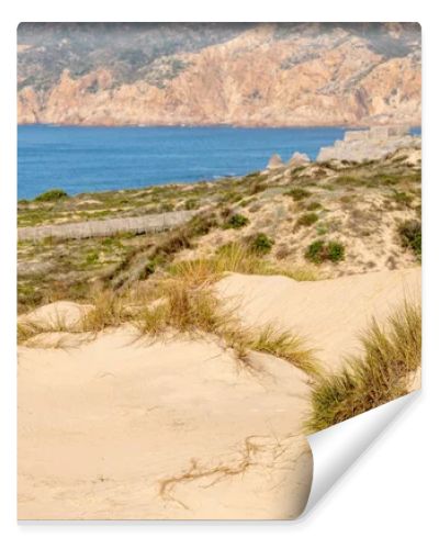 Soft sand dunes shaped by coastal wind with sparse grass above the Atlantic shoreline near Guincho Cascais Portugal.