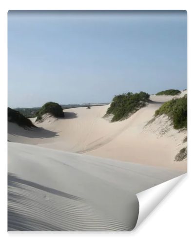 Expansive sand dunes with sparse green vegetation under a bright, clear blue sky, suggesting a coastal or desert landscape.