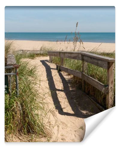 Wooden fence along a sandy beach path lined with dune grass and sea oats, highlighting coastal protection and natural ecosystem design