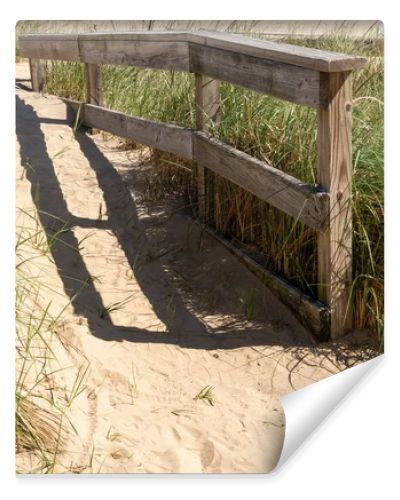 Weathered wooden fence along a sandy beach path surrounded by tall dune grass, highlighting coastal protection and natural landscape
