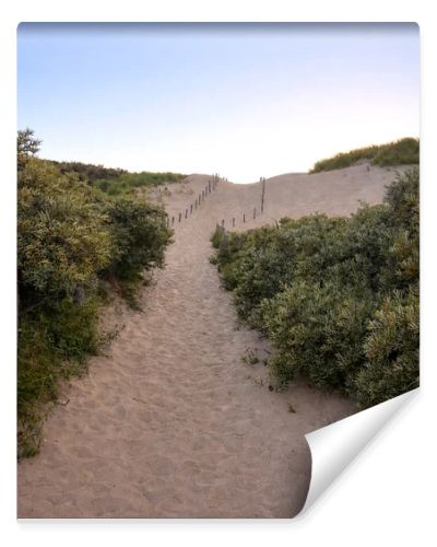 Sandy path through coastal dunes surrounded by green vegetation leading toward the horizon. Natural landscape symbolizing journey, direction, progress, freedom and new opportunities.