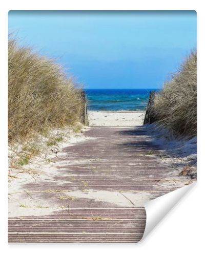 Photo of dunes and white sand beach at German shore of Baltic sea