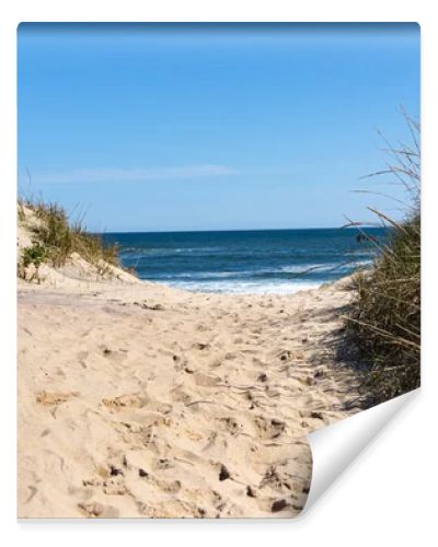 View of the Atlantic Ocean looking through a sand dune at Montauk Beach with footprints in the center and beach grass on the sides.