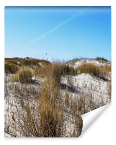 Photo of dunes and white sand beach at German shore of Baltic sea