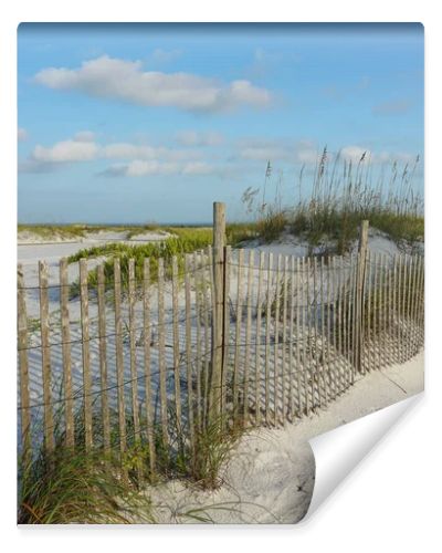 Weathered rustic wooden sand fence protects sand dunes at the beach from erosion, closeup view.