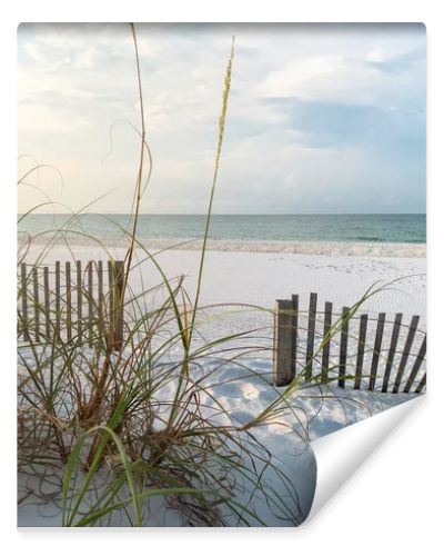 Sand fences and Sea Oats on Florida Beach at Sunrise