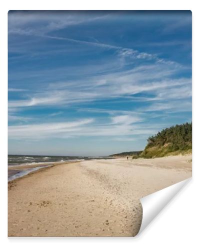 Coastal area in Lithuania Coastal scenery with sandy beach, dunes with marram grass and rough sea on a clear summer day with blue sky.