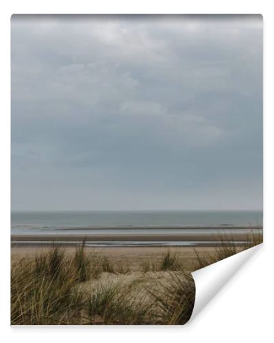 dramatic shot of sandy seashore on cloudy day, Bray Dunes, France