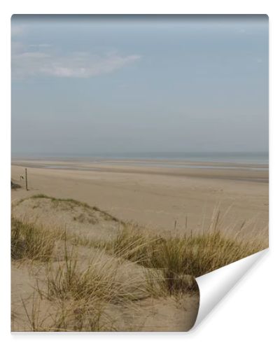 scenic shot of sandy seashore, Bray Dunes, France