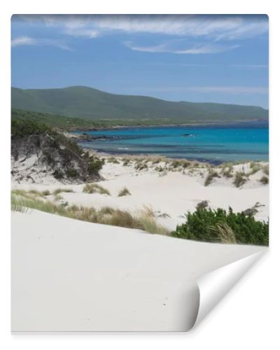 View of Arenas Biancas beach and his dunes