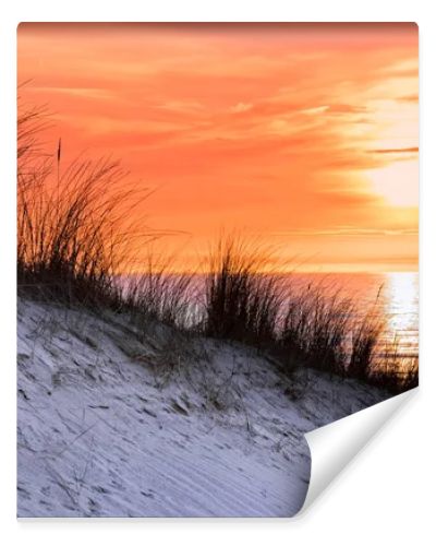 Orange sunset in evening with dune and sea at coast in netherlands