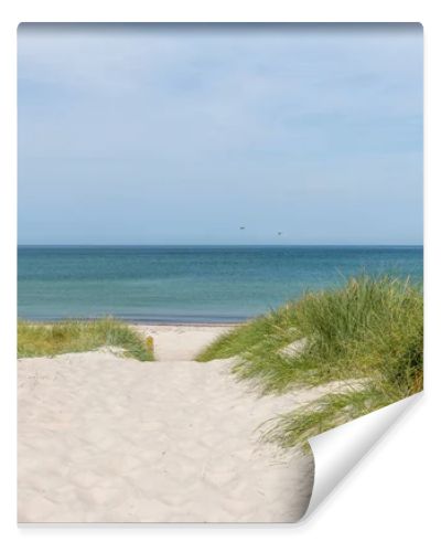 German Baltic Sea coast with sand dunes, grass, water and sky