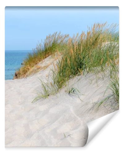 German Baltic Sea coast with sand dunes, grass, water and sky