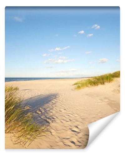 Slovinski national park, Leba sand dune on the Baltic coast