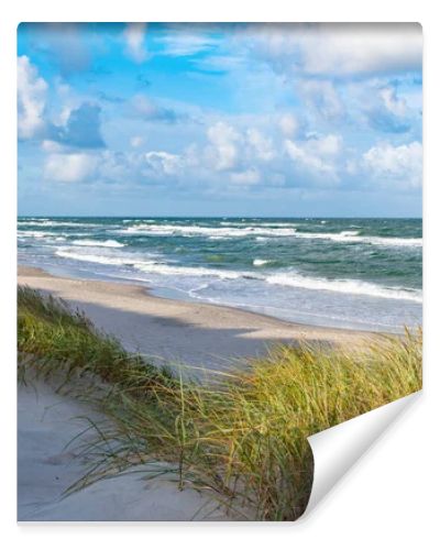 Rough sea with waves in autumn or winter, sandy beach and dunes with reeds and dry grass in the morning