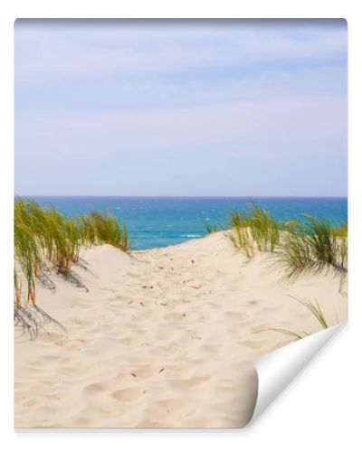 natural dune access to sand beach of le porge in atlantic ocean France