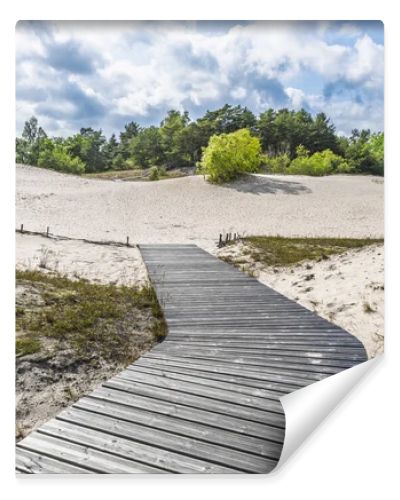 Wooden boardwalk leads over white coastal dunes in Latvia, framed by shrubs, pines and dramatic clouds.