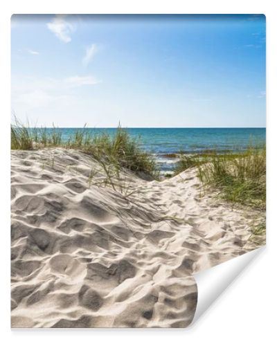 Baltic coast seascape featuring clean sand dunes, sea grass, and a calm horizon in bright natural light.