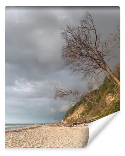 Natural landscape from the sea on a cloudy windy day.