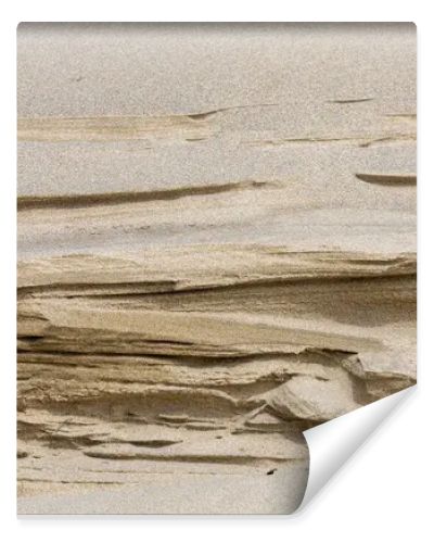 A closeup view of layered sand formations created by wind erosion on beach dunes. This natural abstract background highlights organic textures, geological patterns, and coastal beauty, perfect for design and fine art use.