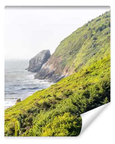 This breathtaking coastal landscape captures golden grassy sand dunes under bright sunlight, rolling toward a mist-covered beach. The scene blends textures of sand, grass, and ocean waves for a serene, natural beauty.