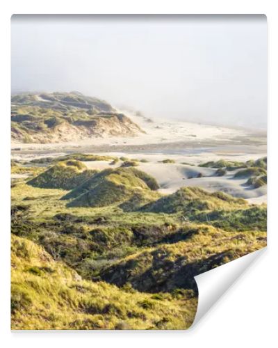 This breathtaking coastal landscape captures golden grassy sand dunes under bright sunlight, rolling toward a mist-covered beach. The scene blends textures of sand, grass, and ocean waves for a serene, natural beauty.