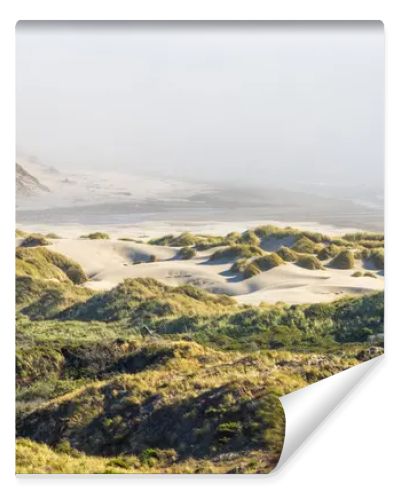 This breathtaking coastal landscape captures golden grassy sand dunes under bright sunlight, rolling toward a mist-covered beach. The scene blends textures of sand, grass, and ocean waves for a serene, natural beauty.