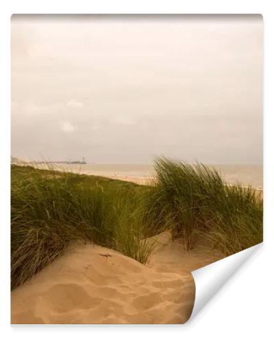 Dunes by the North Sea Coast