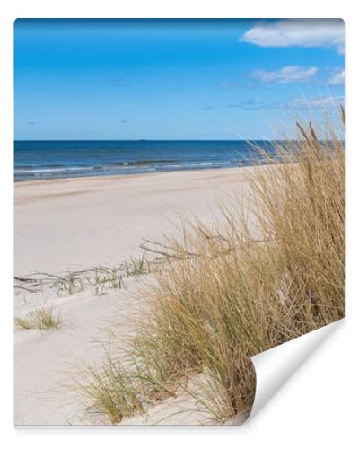 Beautiful sandy beach with dry and yellow grass, reeds, stalks blowing in the wind, blue sea with waves on the Baltic Sea in Palanga, Klaipeda, Lithuania