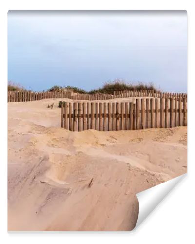 A sandy dune landscape with wooden fences lines the edge of a beach under an overcast sky. The scene captures the raw beauty of a coastal environment with a serene and untouched atmosphere.