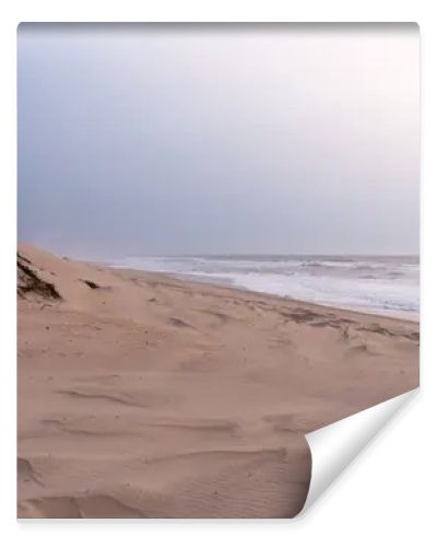 A serene, sandy beach with gentle waves against the shore under a soft, pastel sky. Dunes with sparse vegetation rise gently from the beach, creating a peaceful and untouched natural landscape.