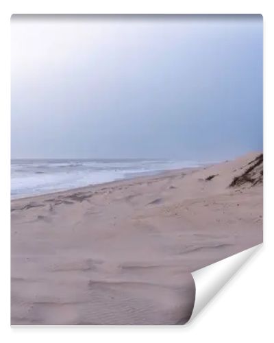 A serene, sandy beach with gentle waves against the shore under a soft, pastel sky. Dunes with sparse vegetation rise gently from the beach, creating a peaceful and untouched natural landscape.