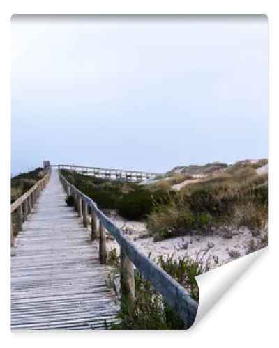 A serene beach scene in Portugal. A wooden boardwalk through sand dunes to the ocean, where waves lap the shore under a cloudy sky. Sparse vegetation and evening light create a tranquil atmosphere.