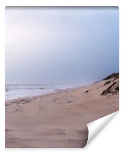 A serene, sandy beach with gentle waves against the shore under a soft, pastel sky. Dunes with sparse vegetation rise gently from the beach, creating a peaceful and untouched natural landscape.
