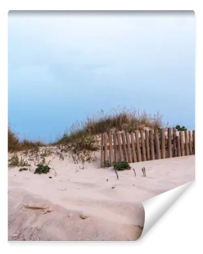 A sandy dune landscape with wooden fences lines the edge of a beach under an overcast sky. The scene captures the raw beauty of a coastal environment with a serene and untouched atmosphere.