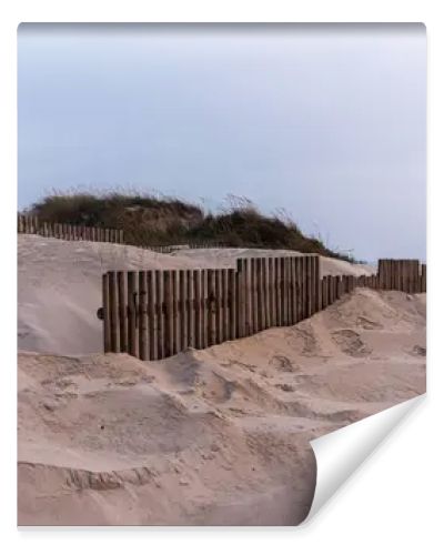A coastal dune landscape in Nazare, Portugal, with sand dunes stabilized by wooden fences and sparse vegetation. The overcast sky and waves of the Ocean create a serene and natural seaside atmosphere