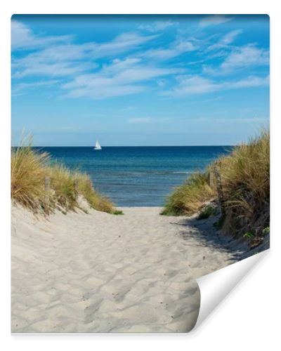 Path between the sand dunes overlooking the sea and a sailing ship and blue sky